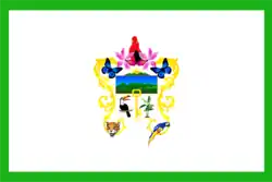 Flag of Tingo María