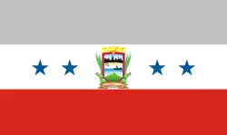 Flag of Punto Fijo
