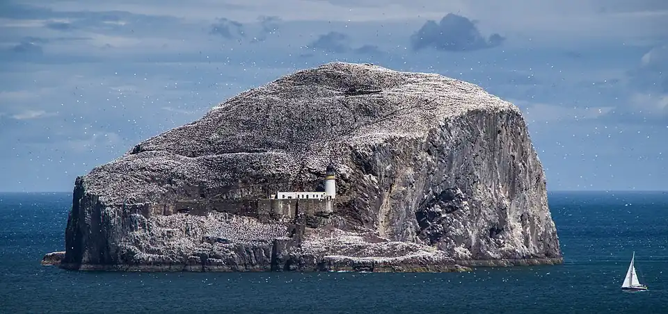 Lighthouse on the Bass Rock, Firth of Forth