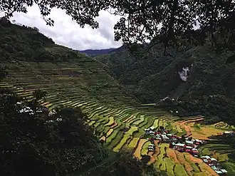 Rice Terraces of the Philippine Cordilleras, World Heritage Site and a National Cultural Treasure