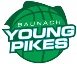 Baunach Young Pikes logo