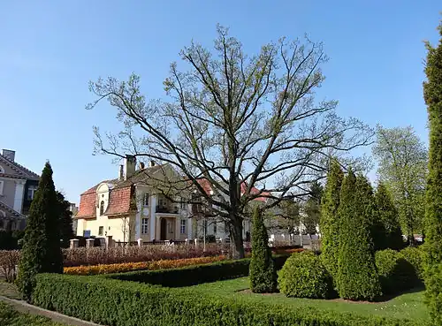 View on Wyspiańskiego street