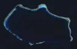 Bikini Atoll. Two craters from high-yield atomic bomb tests can be seen on the northwest cape of the atoll, adjacent to Namu island. The larger is from the 15 Megaton Bravo shot, with the smaller 11 Megaton Romeo crater adjoining it.