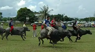 Racing at Babulang 2006