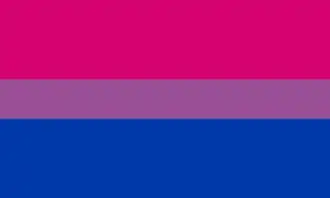 Bisexual flag of three solid horizontal bars two fifths pink, one fifth purple, and two fifths blue.