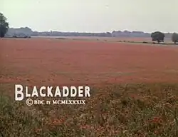 A tranquil field of red poppies, and the text "Blackadder" with a copyright notice
