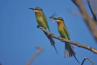 At the Powai Lake, India