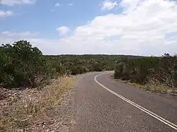 Heathland in Royal National Park, Sydney