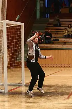 A Czech Handball goalkeeper attempting to block a brown ball entering a white net