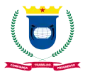 Official seal of Ipatinga
