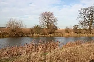 Fishing pond on Grainthorpe Fen