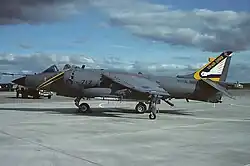 British Aerospace Sea Harrier FRS.1, in special markings to commemorate the 50th anniversary of 899 Naval Air Squadron