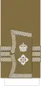 1902 to 1920 lieutenant colonel's sleeve cuff rank insignia