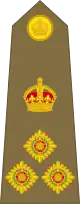 Brigadier
