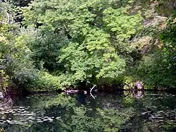 Upper pond, home of snapping turtles