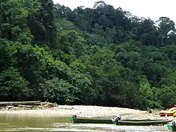 Ulu Temburong National Park
