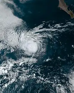 A photograph of a tropical storm over the eastern Pacific Ocean, well off the coast of Mexico.