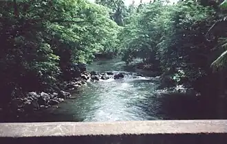 View atop Barit River Bridge, one of the lake's tributaries