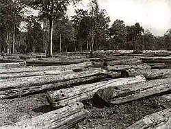 Image 16Deforestation in Myanmar during the British colonial era. (from Geography of Myanmar)