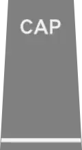 Civil Air Patrol rank insignia of a flight officer.