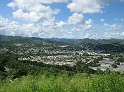 Cayey Pueblo from PR-52.