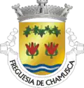 Coat of arms of Chamusca
