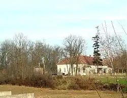 Daniel family mansion in Drauț