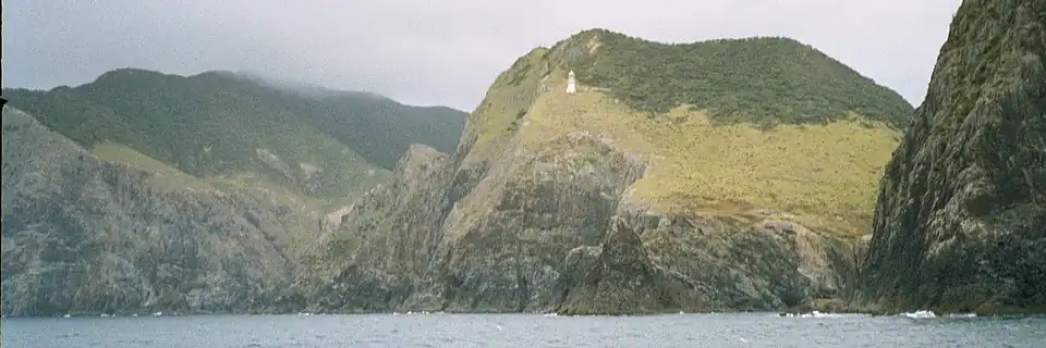 Cape Brett from the water