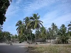 A wide paved road running between several houses and trees with a light pole standing up in the middle of the road