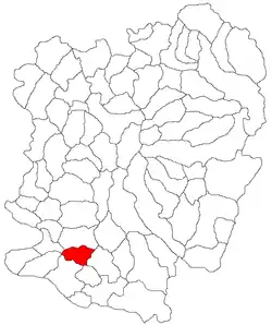 Location in Caraș-Severin County