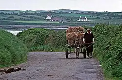 Farmer near Carrigaholt in 1992