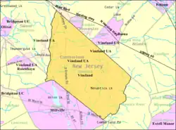 Census Bureau map of Vineland City, New Jersey, which includes the former Vineland Borough and Landis Township.