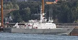 LSG-1619 Punta Arenas (Protector class)