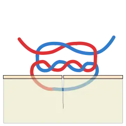 Surgeon's knot
