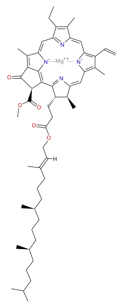 Structure of chlorophyll a