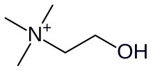 Choline cation skeletal formula