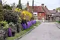 Church Lane in spring, with Aubrieta and Forsythia in bloom
