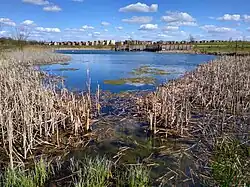 The balancing pond at Trumpington Meadows in April 2021