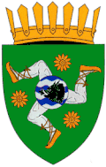 Coat of arms of Sărata-Galbenă