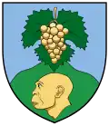 Coat of arms of Vértesszőlős