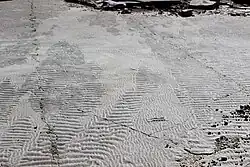 Complex ripple marks on Cambrian tidal flat at Blackberry Hill, Wisconsin.