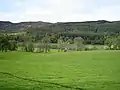 Coquetdale near Low Alwinton looking south from the bridleway – in background Harbottle Woods and the Harbottle Hills (left)