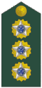 Brazil (coronel)