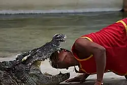 Samut Prakan Crocodile Farm and Zoo