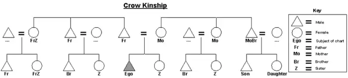Graphic of the Crow kinship system