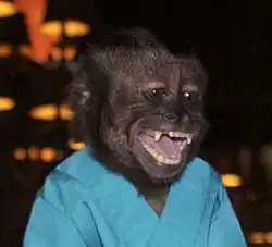 A bust-length photograph of a capuchin monkey wearing a blue shirt.