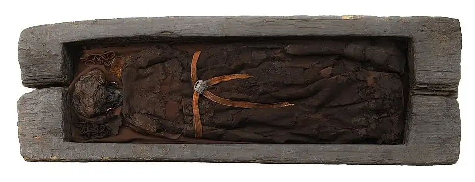 Skrydstrup Woman, mummified remains in oak coffin, Denmark, c. 1300 BC