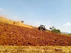 Damota Sore wide farmland