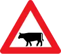 A27: Cattle
