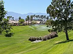 Desert Palms, California
